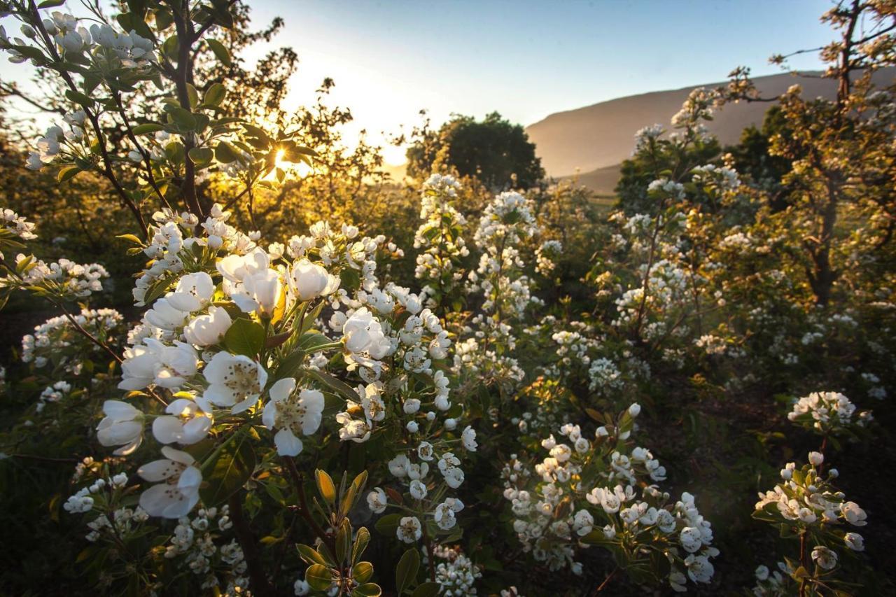 Lentelus Farmstay Barrydale Bagian luar foto